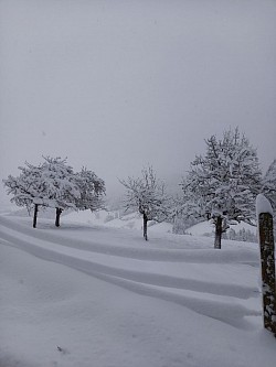 Winter
