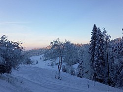 Umgebung
