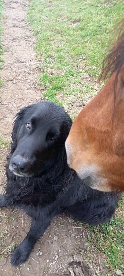 Freundschaft