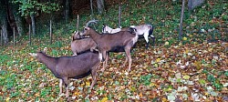 Seit dem 23.10.2025 auch bei uns Zuhause