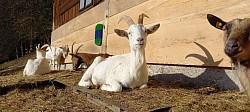 Sonne genießen